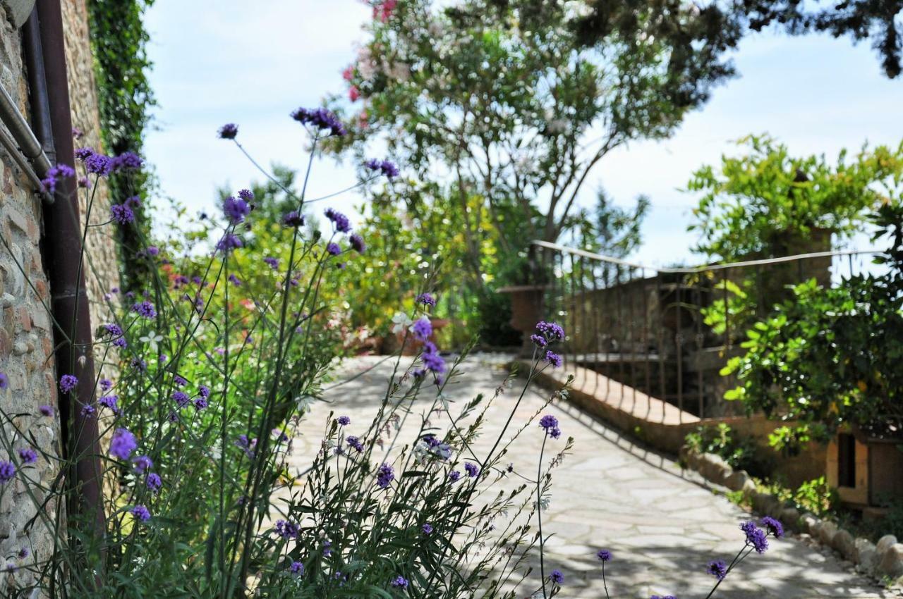 Agriturismo La Villa Romita Tavarnelle Val di Pesa ภายนอก รูปภาพ